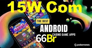 Premium Interface 66Br